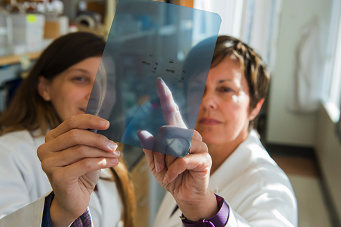 Two woman looking at samples Two woman looking at samples